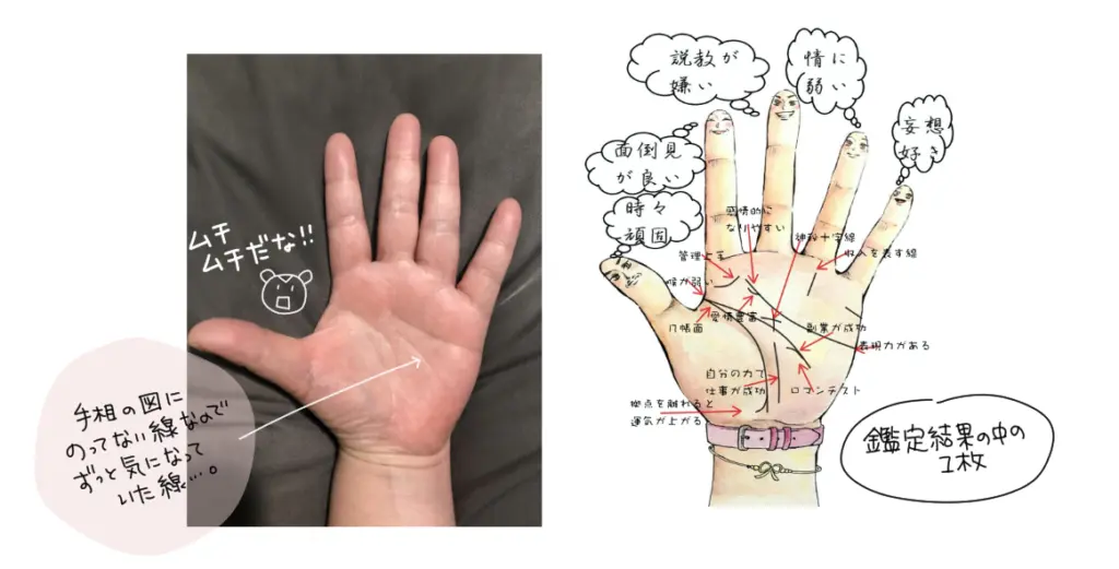 手相占いをお願いした手の画像